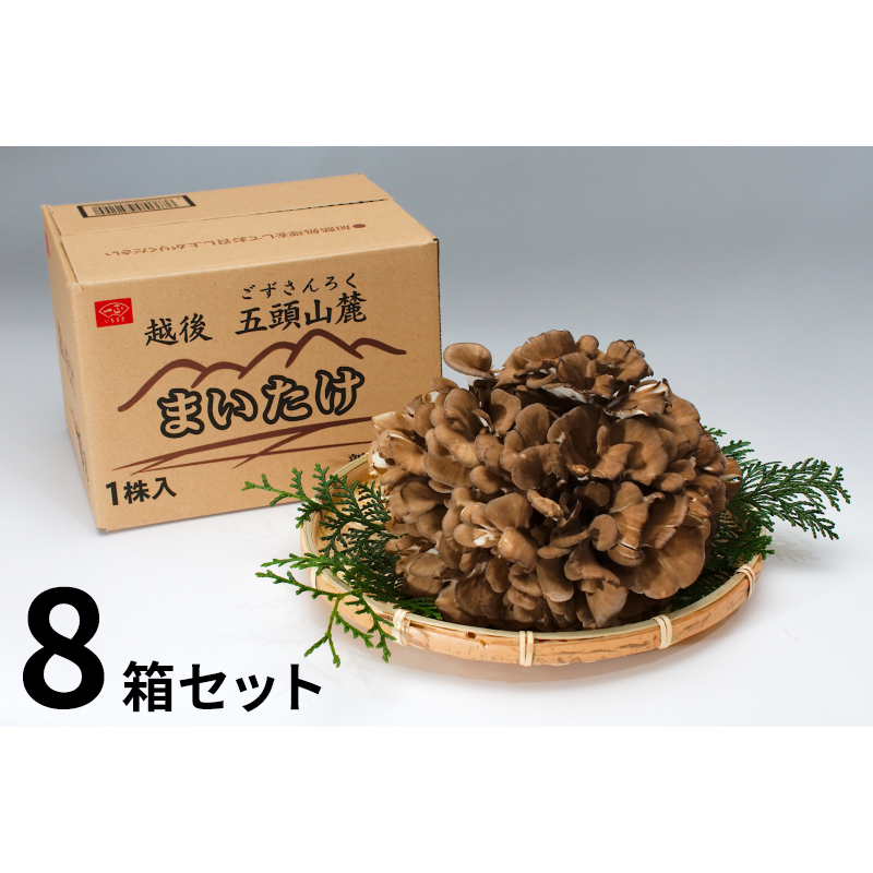 カテゴリー：まいたけ(舞茸) | いちまさオンラインショップ