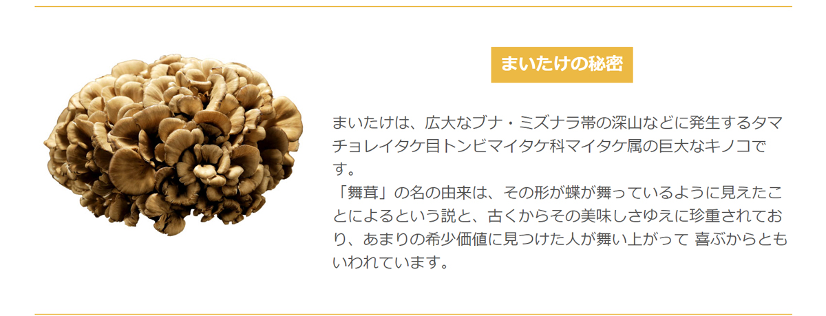 送料込】いちまさのまいたけ 四株 -舞茸 | いちまさオンラインショップ
