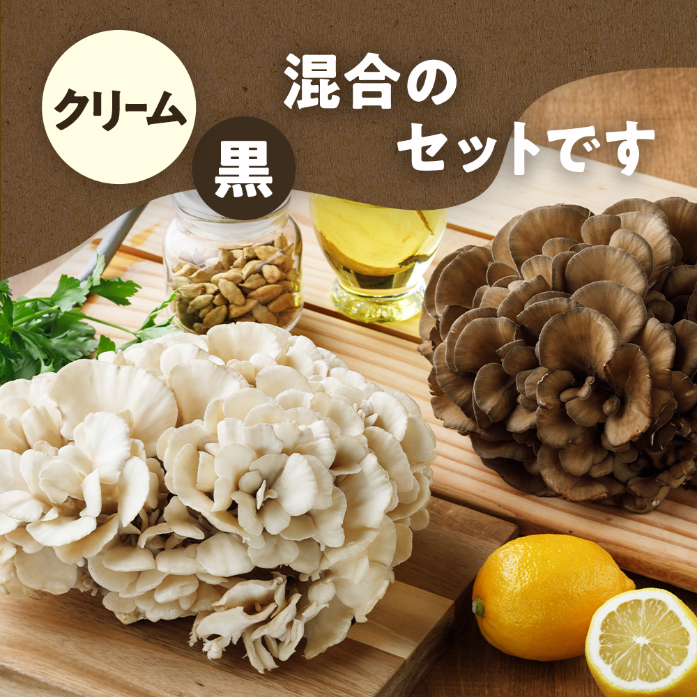 送料込み】ビタミンD 舞茸 希なり・ビタミンD 舞茸 2種6個セット